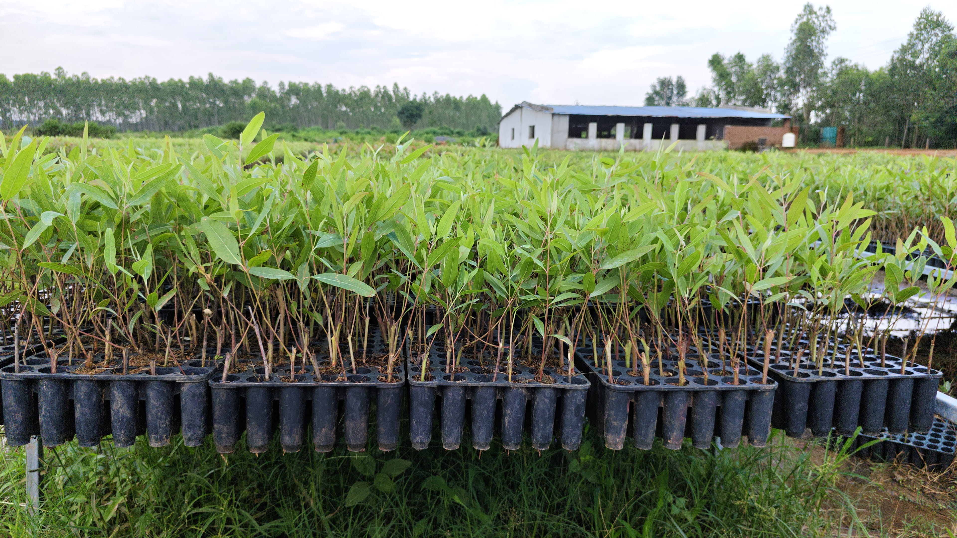 Production gallery 1