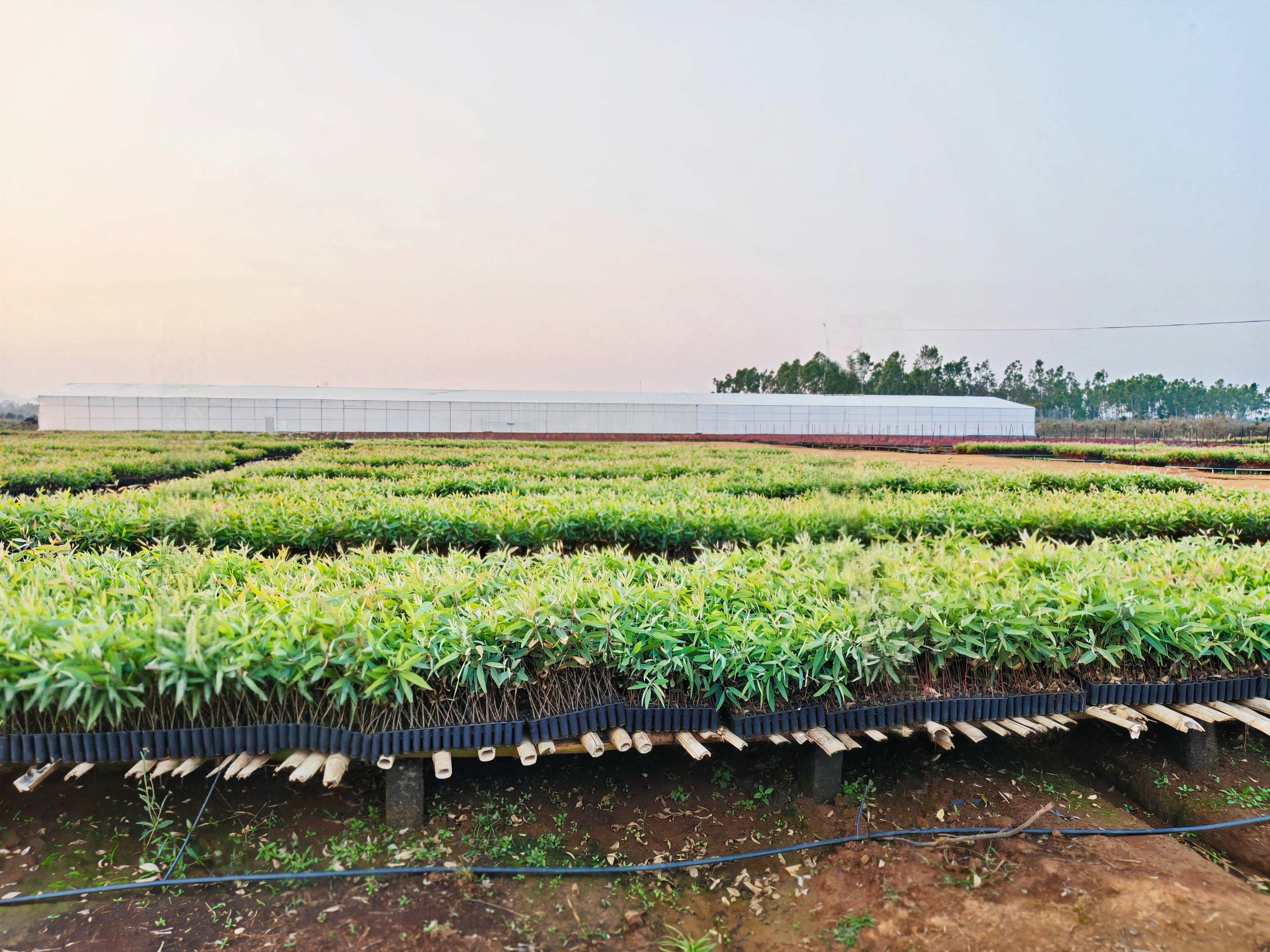 Production gallery 2