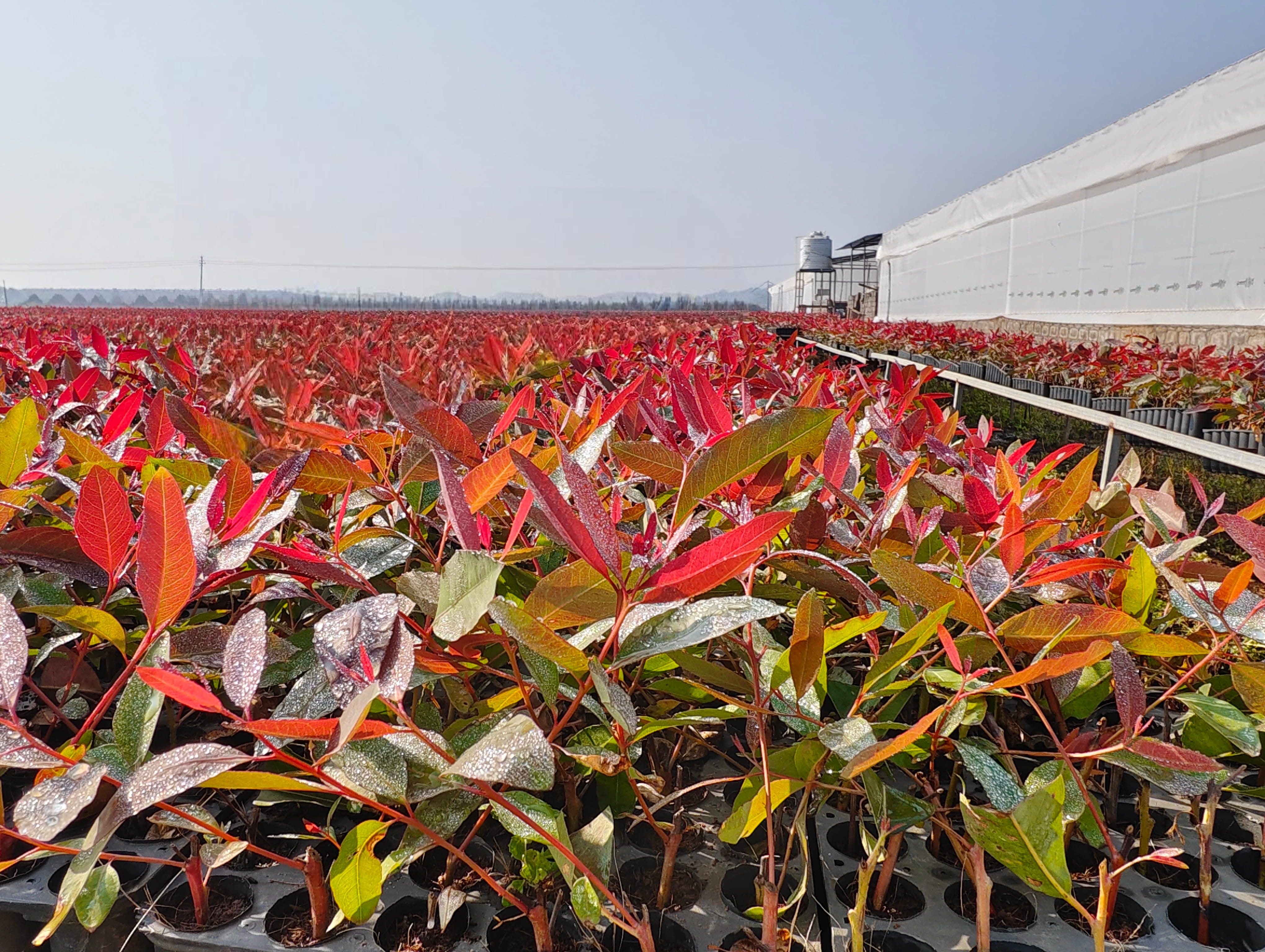 Production gallery 3