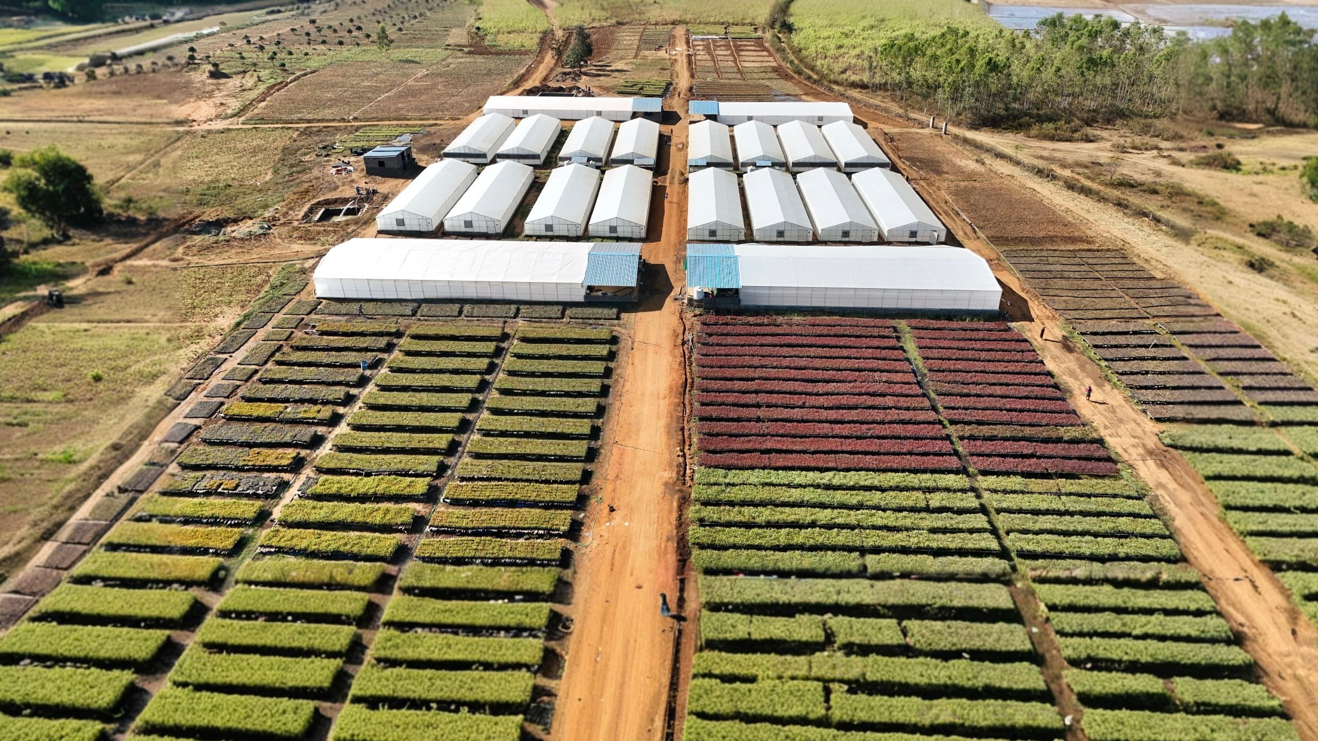 Production gallery 4