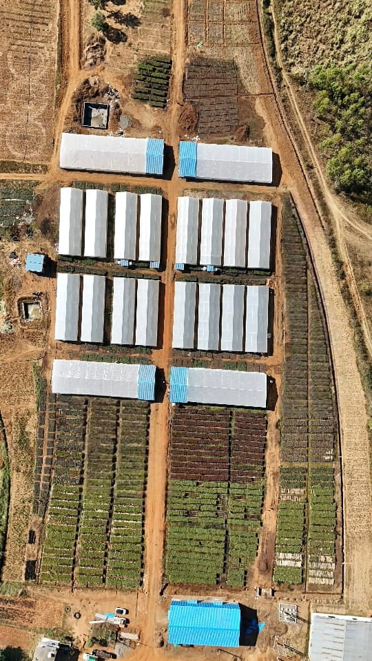 Production gallery 5