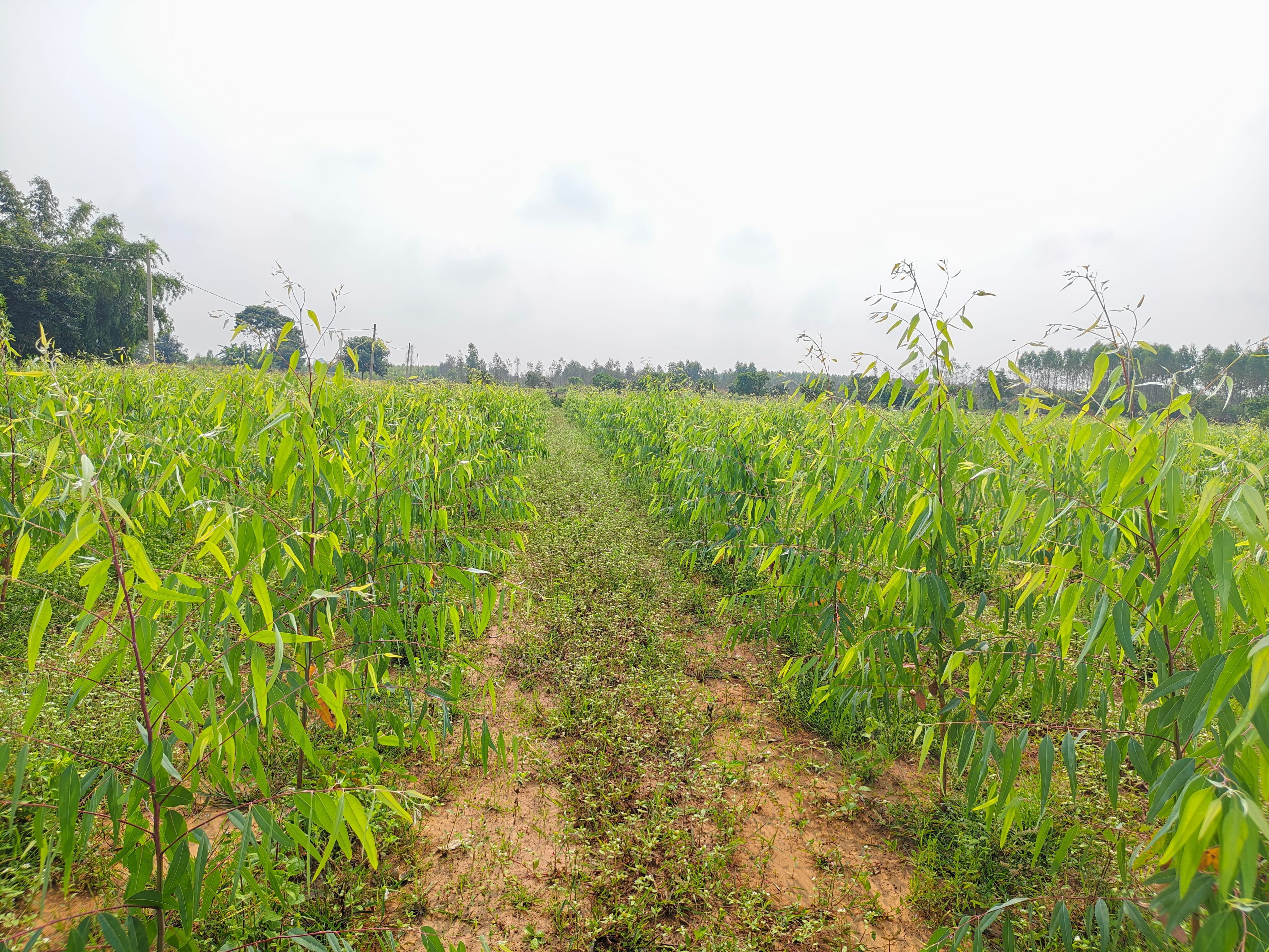 Production gallery 6